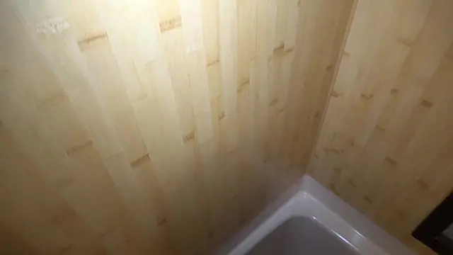 Lewd sex with the beautiful Satomi &mdash;  impregnated and creampied! Ver 1❤